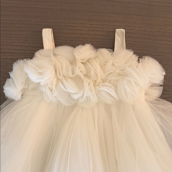 Unknown - Picture 2 of 4